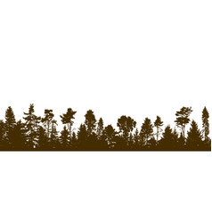 Panorama Of Beautiful Forest Silhouette Of Firs