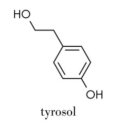 Tyrosol Molecule Antioxidant Found In Olive Oil