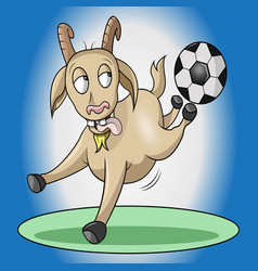 A Goat Kicks Ball With Its Hind Legs