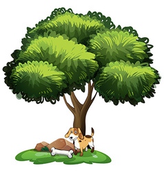 Dog Under Tree