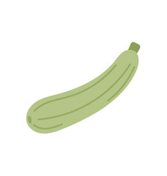 Green Squash Vegetable Courgette Icon Isolated