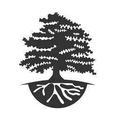 Oak Tree Logo Icon Brand Identity