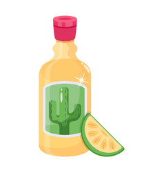 An Alcoholic Drink Made From Plant Tequila Icon