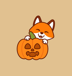 Fox With Jack O Lantern