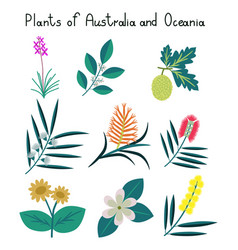 Plants Of Australia And Oceania