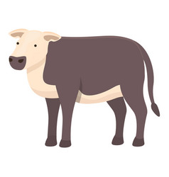 Farm Cow Icon Cartoon Breed Cattle