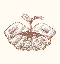 Farmer Holding Seedling Clipart Sketch