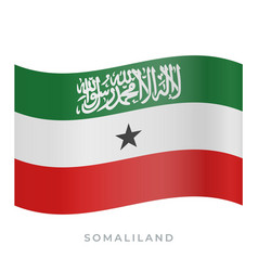 Somaliland Waving Flag Icon