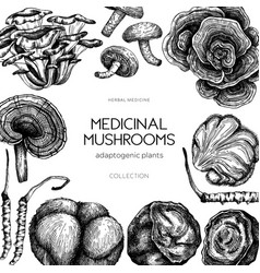 Medicinal Mushroom Frame Design Hand-drawn