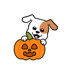 Dog With Jack O Lantern