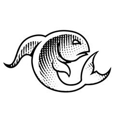 Scratchboard Engraved Fish