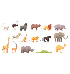 Wild Tropical Animals Set