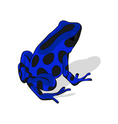 Dart Frog