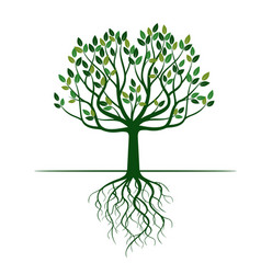 Green tree with roots Royalty Free Vector Image