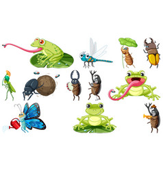 Set Of Various Insects And Amphibians Cartoon