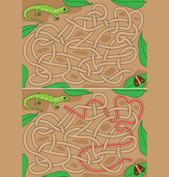 Green Gecko Maze