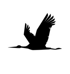 Flying Stork Silhouette