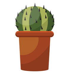 Small Cactus In Brown Pot On A White Background