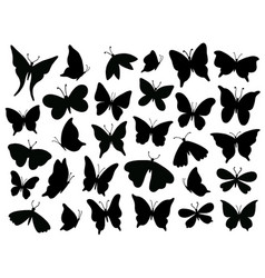 Papillon Silhouette Mariposa Butterfly Wing Moth