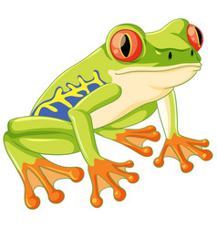 Green Frog Cartoon On Lily Pad