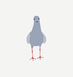 Colored Pigeon Dove Icon Looking Forward