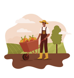 Flat Design Of Farmer Harvesting At Farm