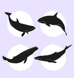 Flat Whale Silhouettes Set