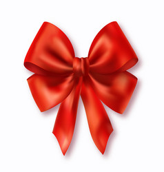 Shiny Red Satin Bow On A White Background