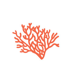 Underwater Coral Plant Branch Isolated Sea Reef