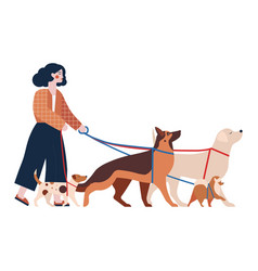 Pet Sitter Woman With Group Of Dogs