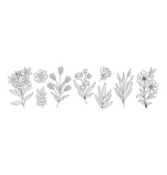 Set Of Tiny Wild Flowers Plants Line Art