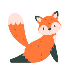 Stretching Fox Animal