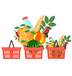 Food In Grocery Basketsset