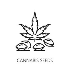 Cannabis Seeds Line Icon Marijuana Symbol