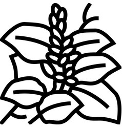 Kudzu Plant Line Icon