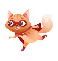 Ginger Cat Superhero Character Wearing Red Cloak