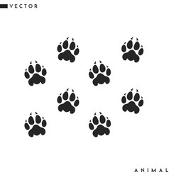 Panther Paw Prints