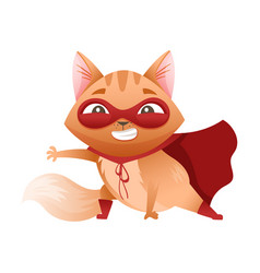 Ginger Cat Superhero Character Wearing Red Cloak