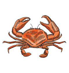 Red Crab Hand Drawn Shellfish Icon