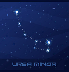 Constellation Ursa Minor Little Bear