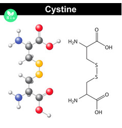 Cystine Dipeptide Molecular Structure Cysteine