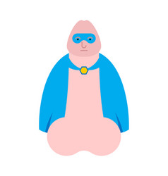 Penis Superhero Super Dick In Mask And Raincoat