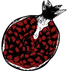 Hand Drawn Cut Black Pomegranate Isolated