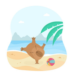 Cute Capybara Having Fun On The Beach