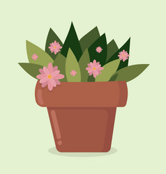 Indoor Green Plant With Pink Flowers