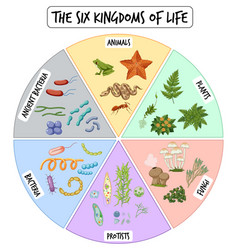 Information Poster Six Kingdoms Life