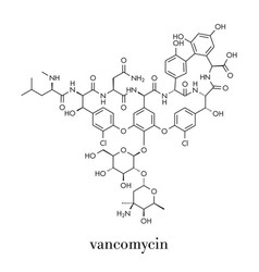 Vancomycin Antibiotic Drug Glycopeptide Class