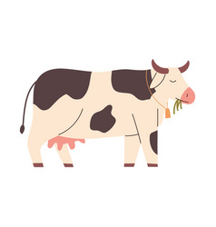 Farm Cow Animal