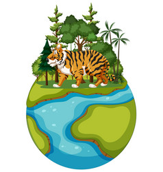 A Tiger On Small Forested Planet