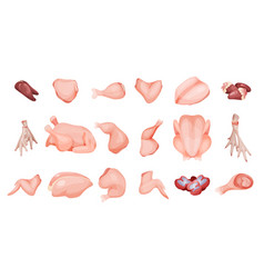 Chicken Meat With Different Parts Of Whole Carcass